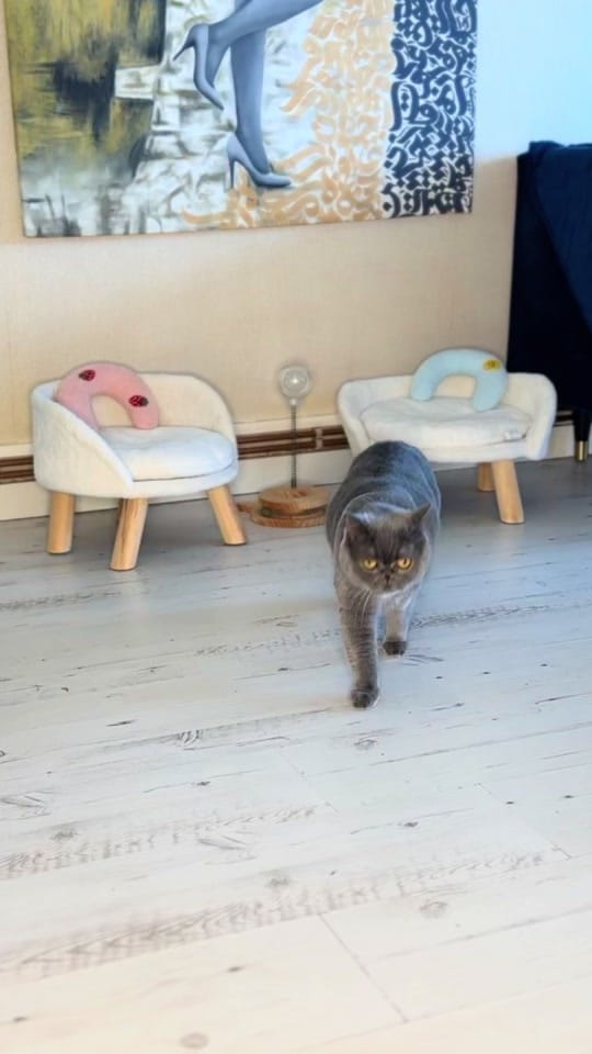 Post 6 by azitak.style on TikTok (video)