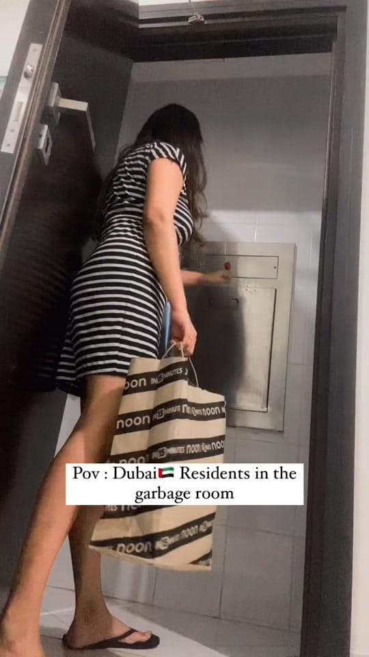 Post 5 by Aashana Grover 🇦🇪 on TikTok (video)