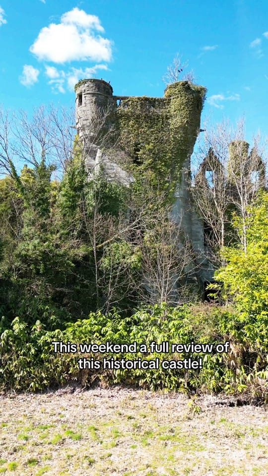 Post 7 by Kennygeerts on TikTok (video)
