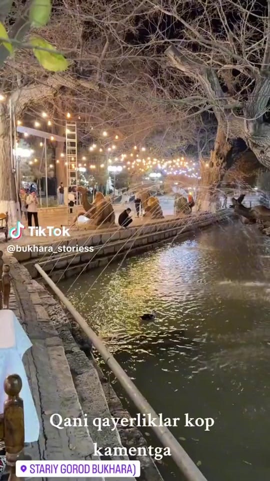 Post 5 by ZaZeL 🖤 on TikTok (video)