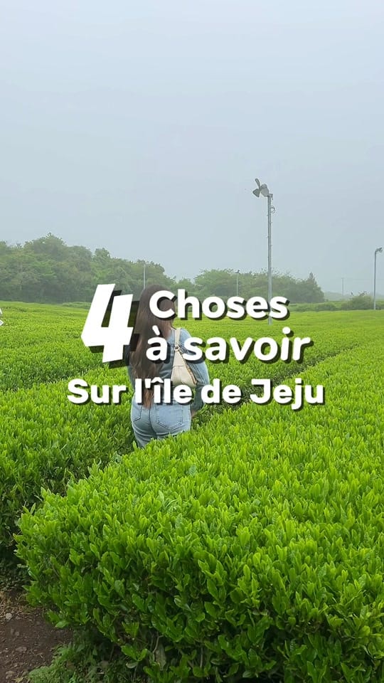 Post 9 by idylle.travel on TikTok (video)