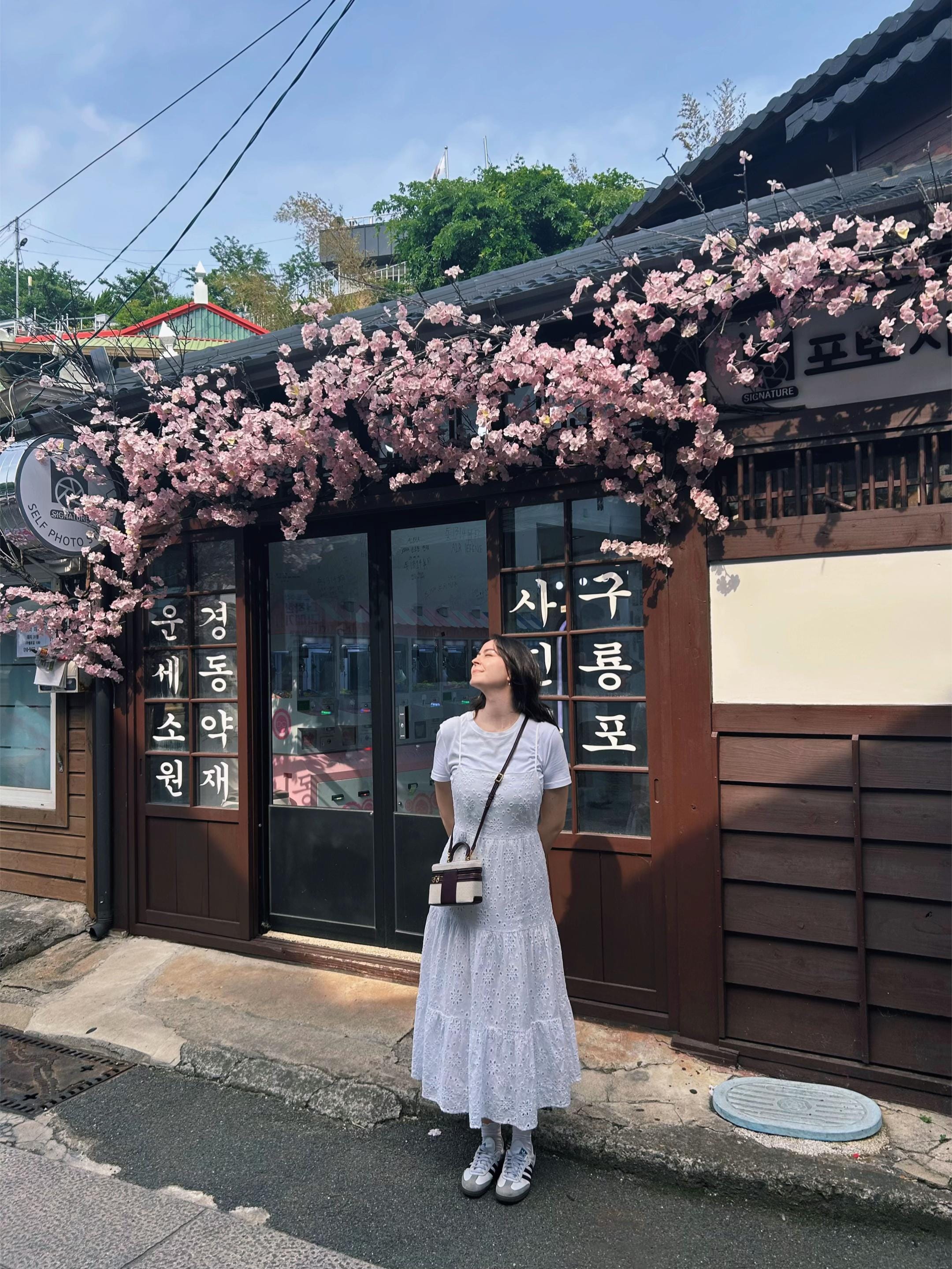Post 5 by Maresa𐙚 🇮🇹🇰🇷 on TikTok (video)