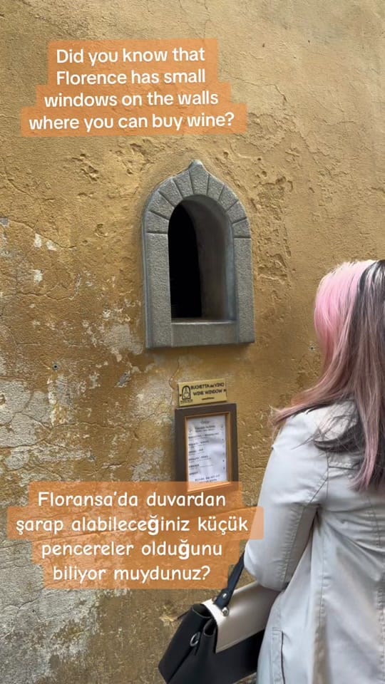 Post 8 by Serra Aktug on TikTok (video)