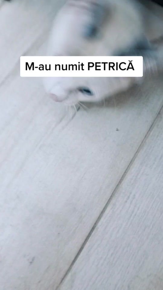Post 9 by Christina Oné on TikTok (video)