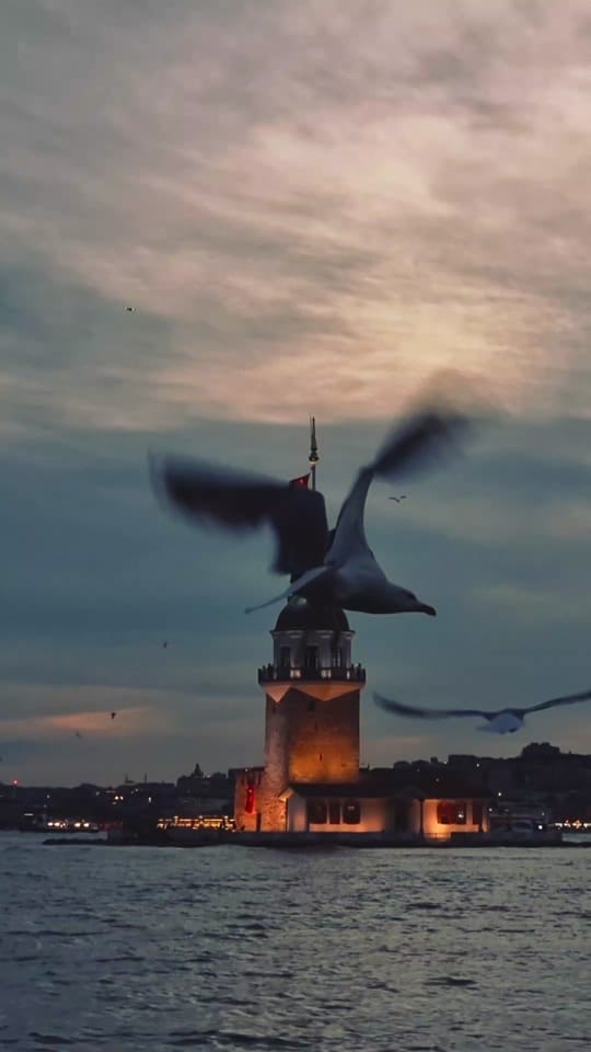 Post 9 by istanbul on TikTok (video)