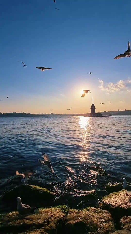 Post 5 by istanbul on TikTok (video)