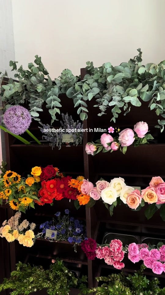 Post 6 by ipek☆🍒 on TikTok (video)