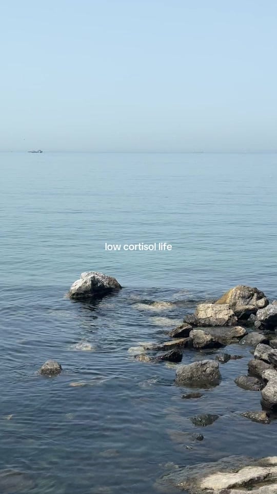 Post 2 by Theturkishyenge on TikTok (video)