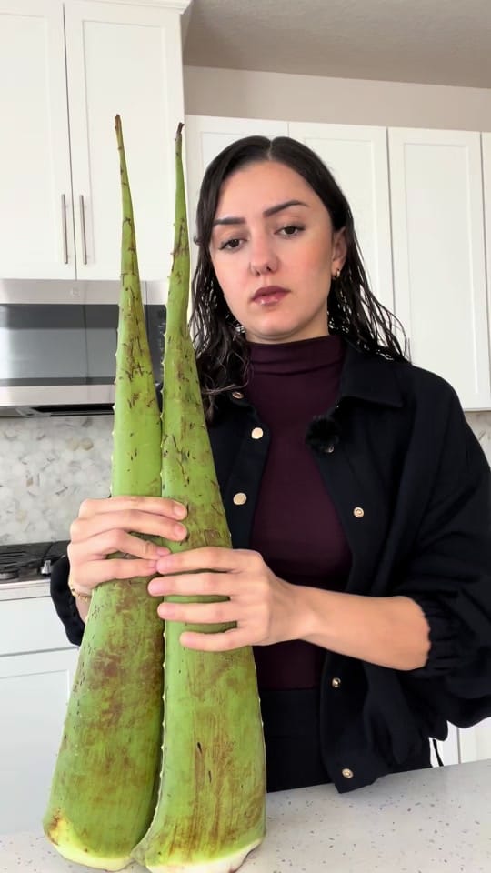 Post 9 by canselyildirim on TikTok (video)