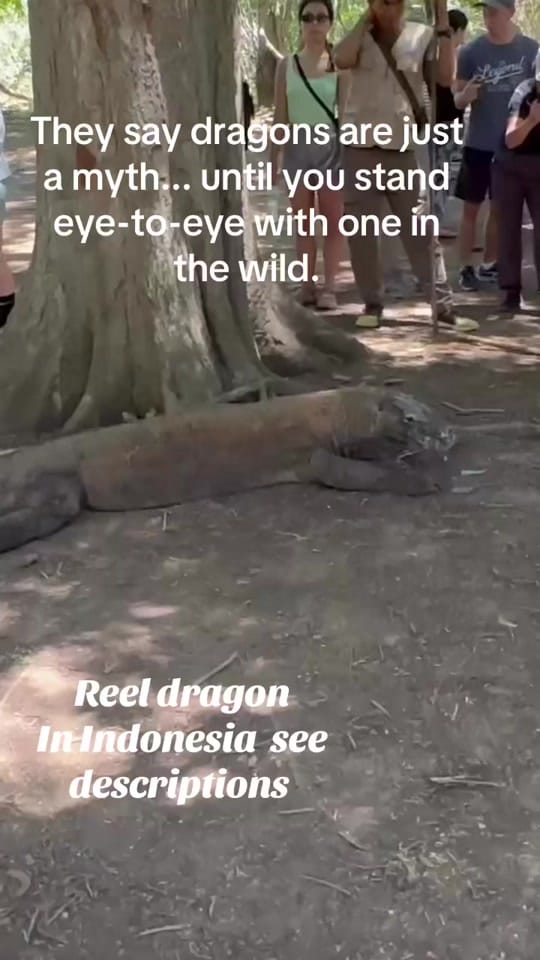 Post 1 by luxevoyagelimiteduk on TikTok (video)