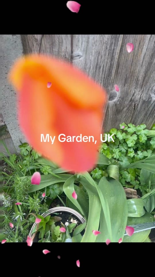 Post 6 by luxevoyagelimiteduk on TikTok (video)