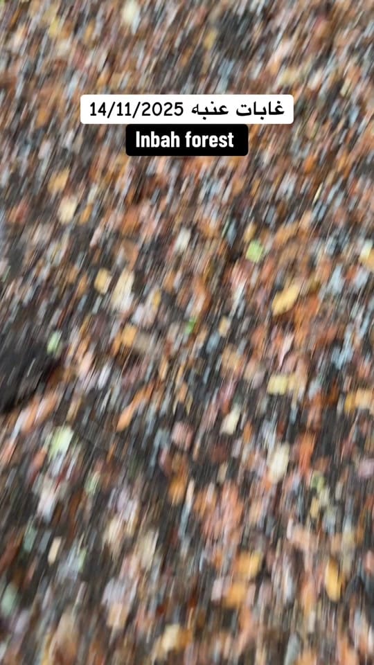 Post 7 by Yasser Hanandeh on TikTok (video)