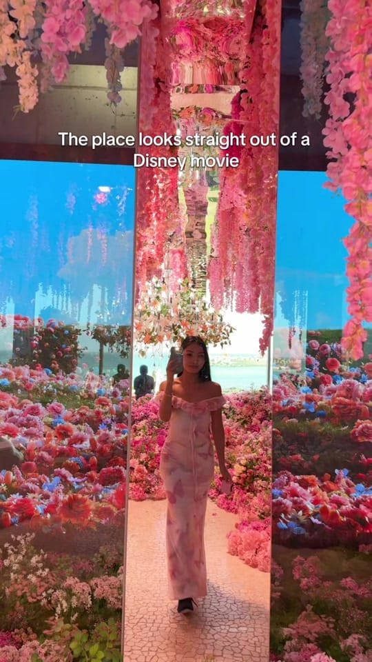 Post 8 by 하쿠 👑 on TikTok (video)