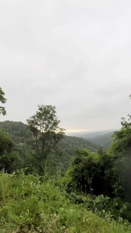 Post 5 by Khalil on TikTok (video)