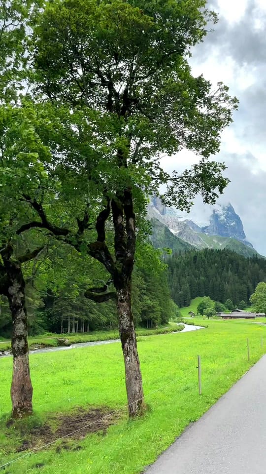 Post 5 by İsviçreden Eda on TikTok (video)