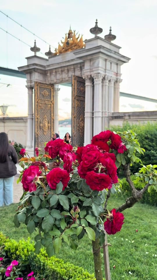 Post 3 by istanbulcitylover on TikTok (video)