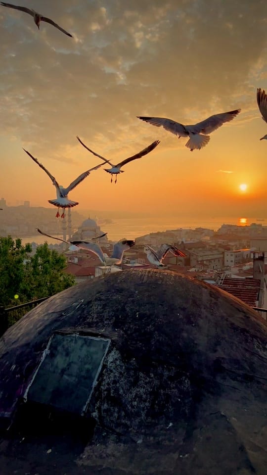 Post 4 by İSTANBUL PHOTOGRAPHER on TikTok (video)