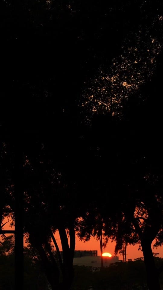 Post 3 by Julia Senga on TikTok (video)