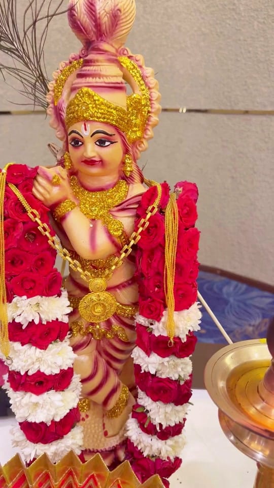 Post 1 by MRMALLUJD/MUKESH NAIR/BRANDING on TikTok (video)