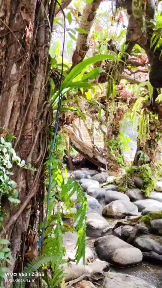 Post 7 by @mua Kalimantan barat on TikTok (video)