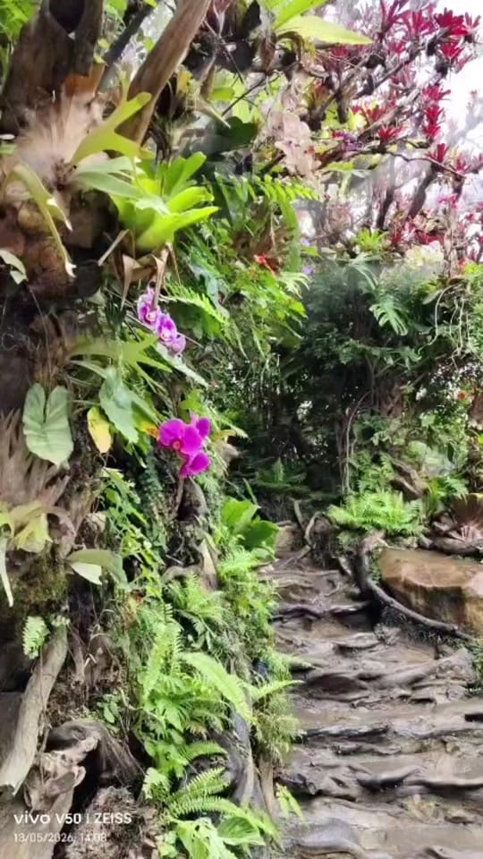Post 4 by @mua Kalimantan barat on TikTok (video)