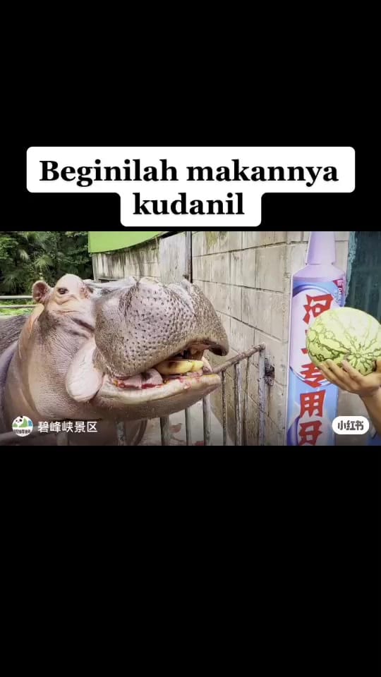Post 10 by nengnimat on TikTok (video)