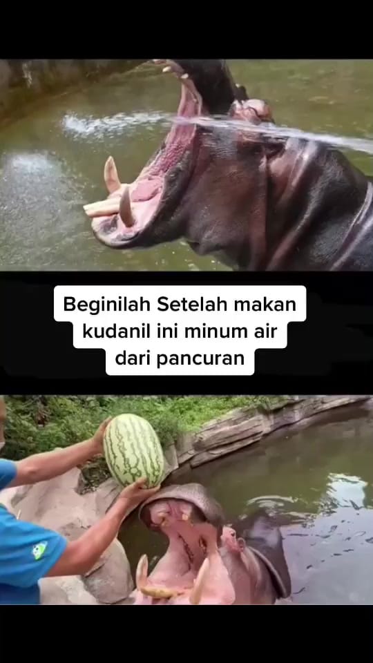 Post 9 by nengnimat on TikTok (video)