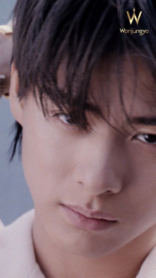 Post 1 by 【公式】Wonjungyo Hair on TikTok (video)