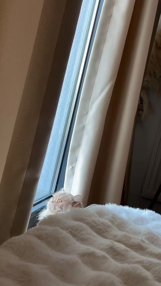 Post 5 by OB on TikTok (video)