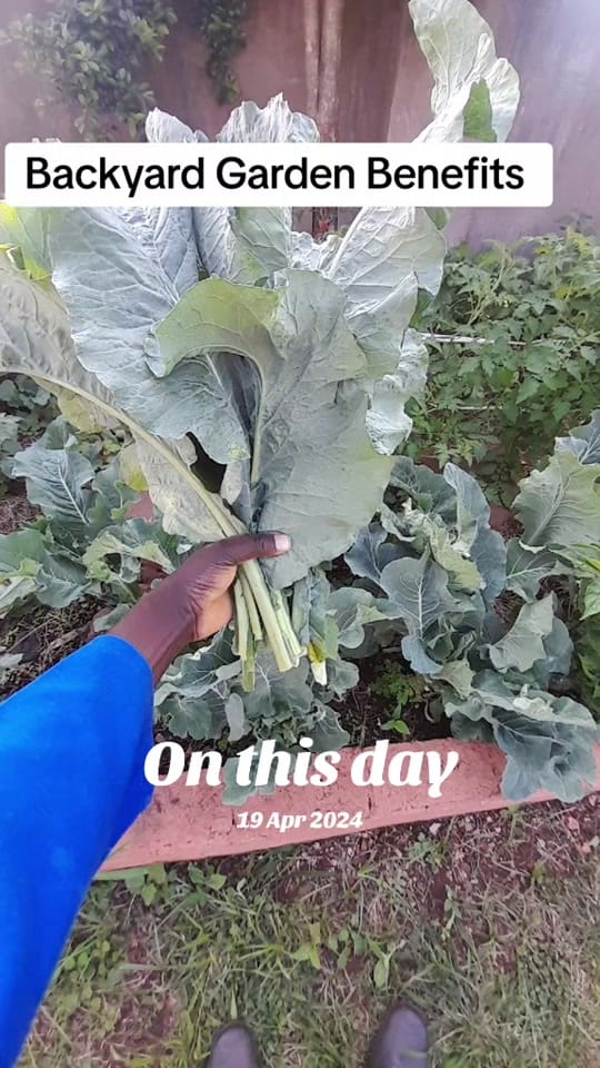 Post 5 by AdamTMalapa 👌 ✅️ on TikTok (video)