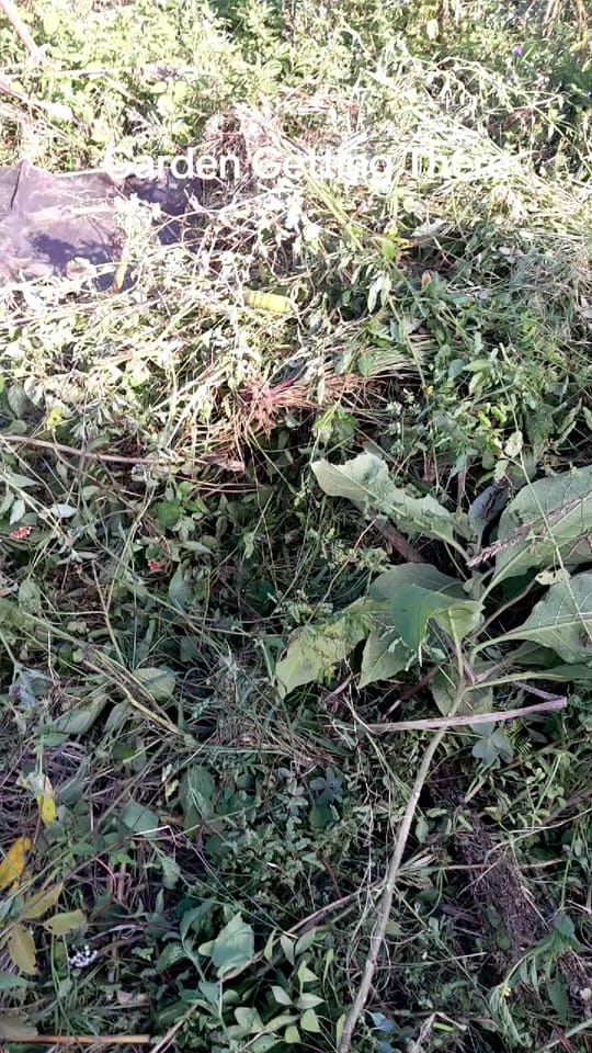 Post 6 by AdamTMalapa 👌 ✅️ on TikTok (video)