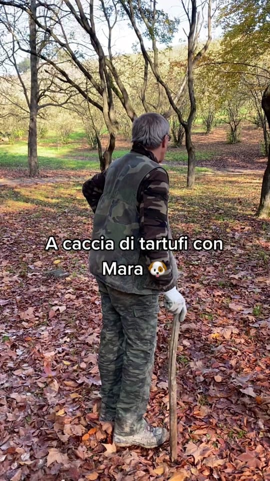 Post 2 by cultmore on TikTok (video)