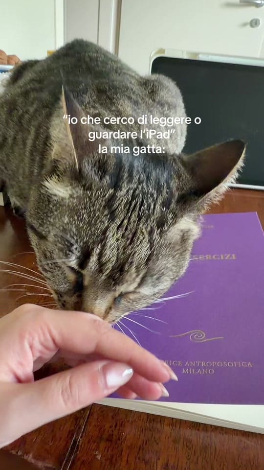Post 10 by martina 🦋 on TikTok (video)