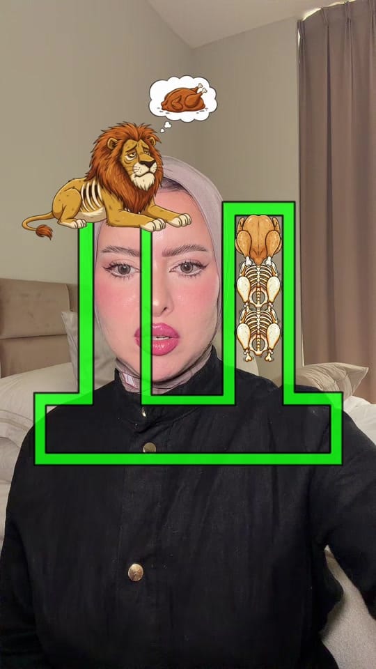 Post 8 by Laila | ليلى on TikTok (video)
