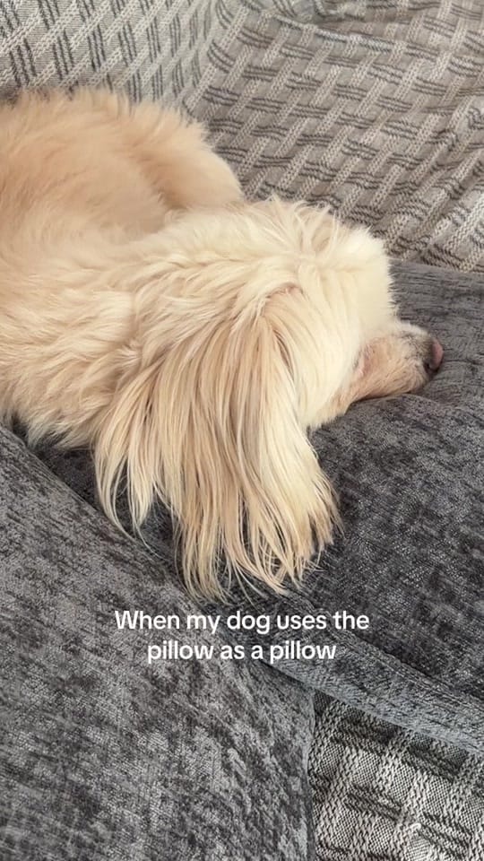 Post 7 by Nelly George on TikTok (video)