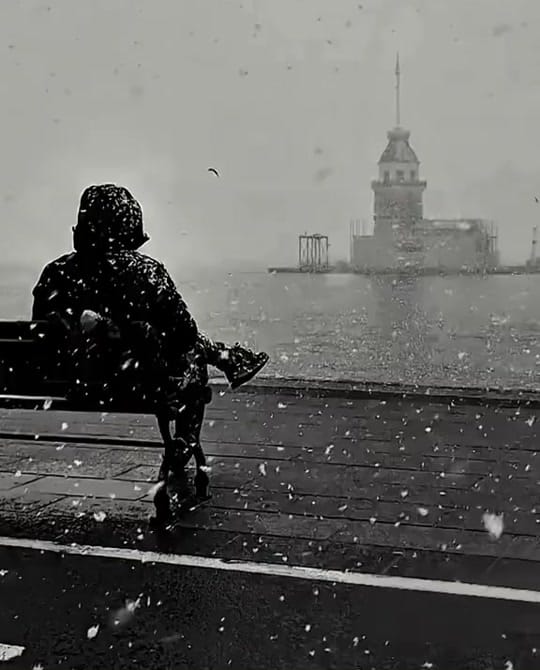 Post 4 by MuratBeşiktAŞK1️⃣9️⃣0️⃣3️⃣ on TikTok (video)