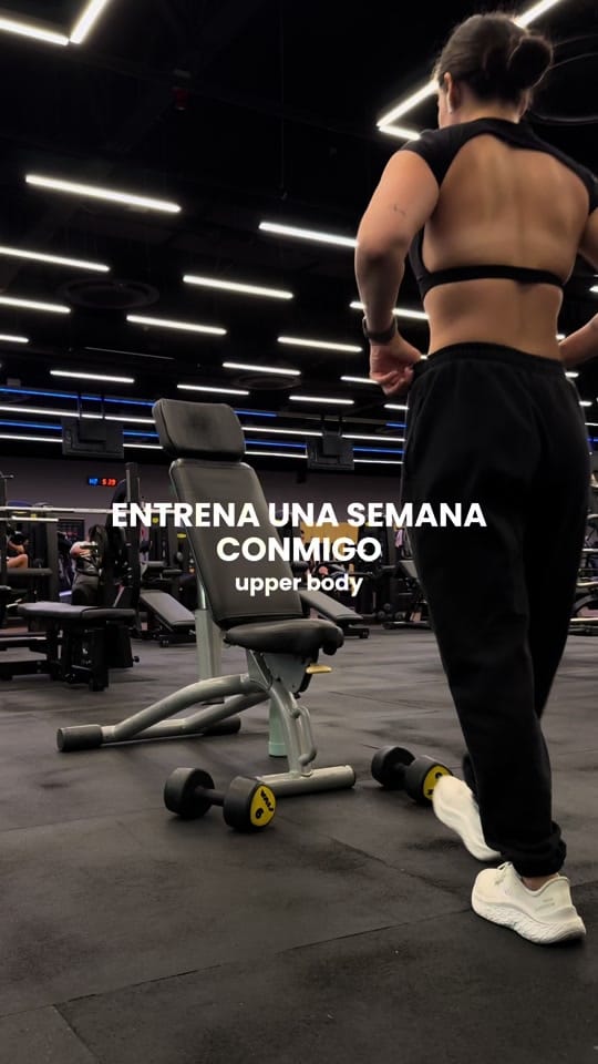 Post 3 by andrea on TikTok (video)