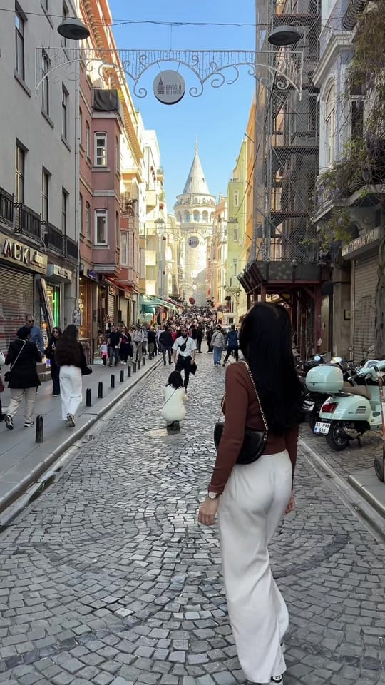 Post 9 by Katherine Triplanner🇹🇷✈️ on TikTok (video)