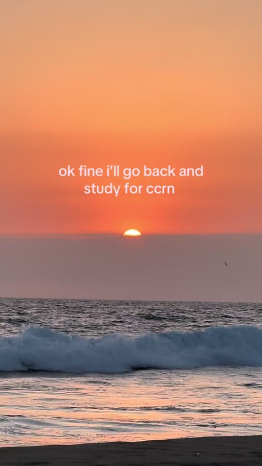 Post 4 by Seongmeen Kim on TikTok (video)