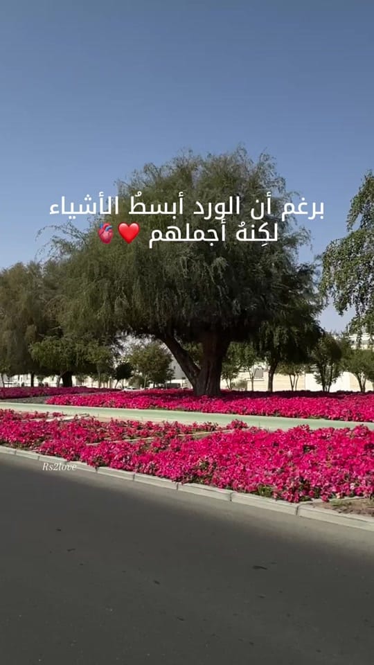 Post 5 by #Rmakeup on TikTok (video)