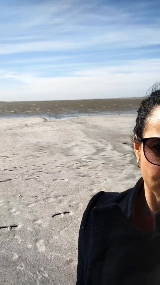 Post 3 by Lic Brenda Coloccini on TikTok (video)