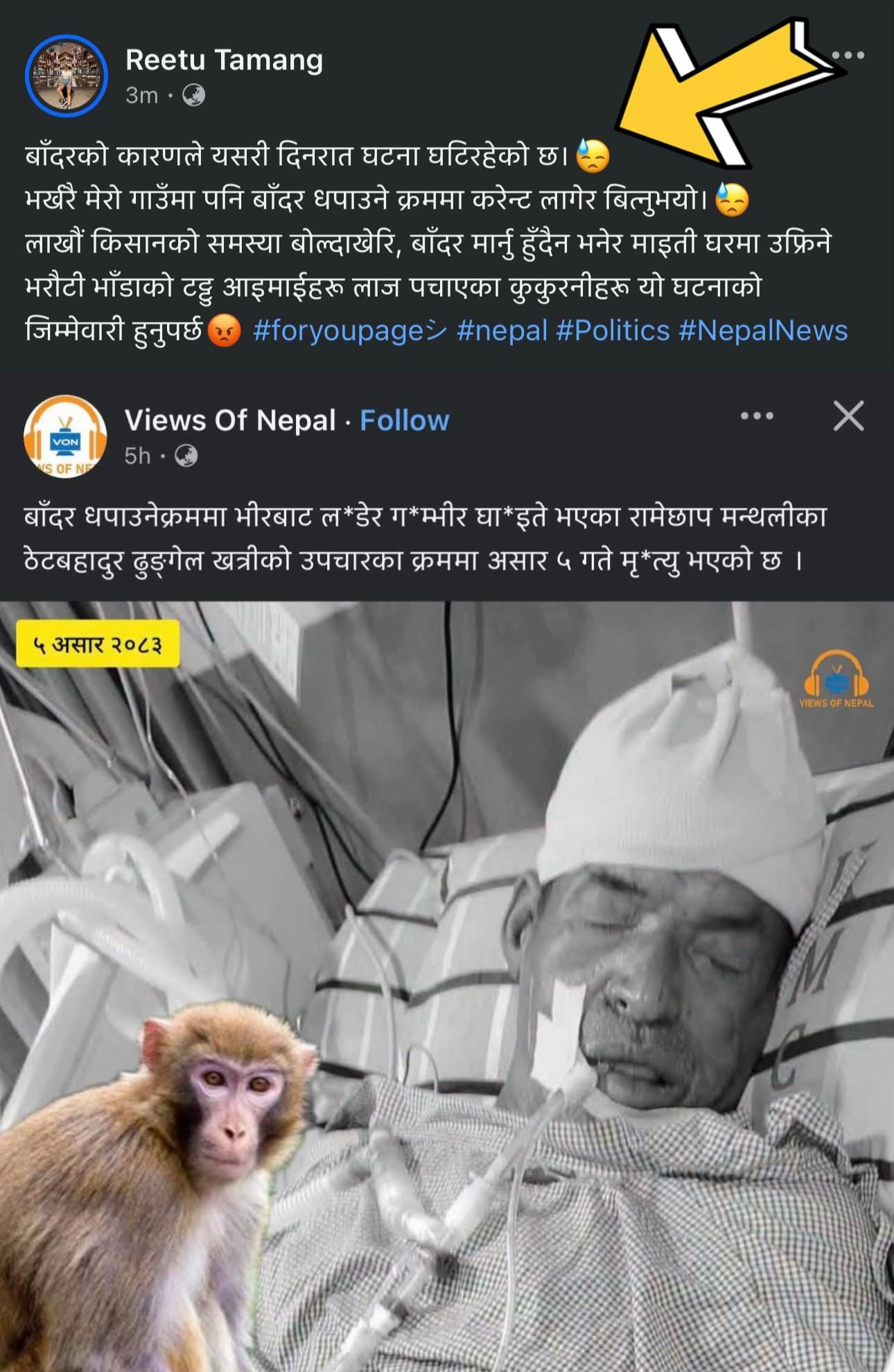 Post 7 by Reetu Waiba🇰🇷🥰🇳🇵 on TikTok (video)