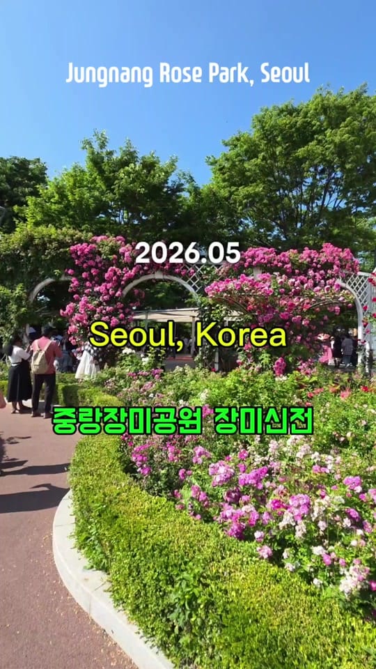 Post 8 by JJJ.CityLife on TikTok (video)