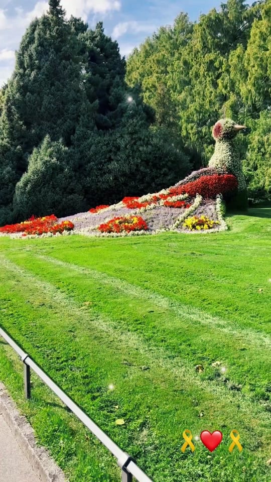 Post 4 by Bassam Habbal on TikTok (video)
