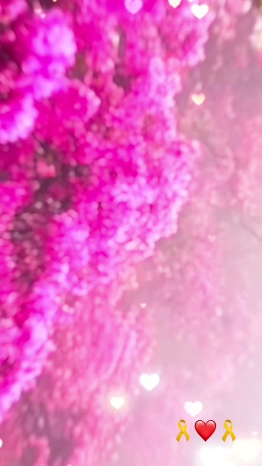 Post 10 by Bassam Habbal on TikTok (video)
