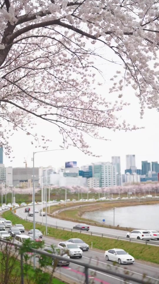 Post 3 by Afandi Rachman on TikTok (video)