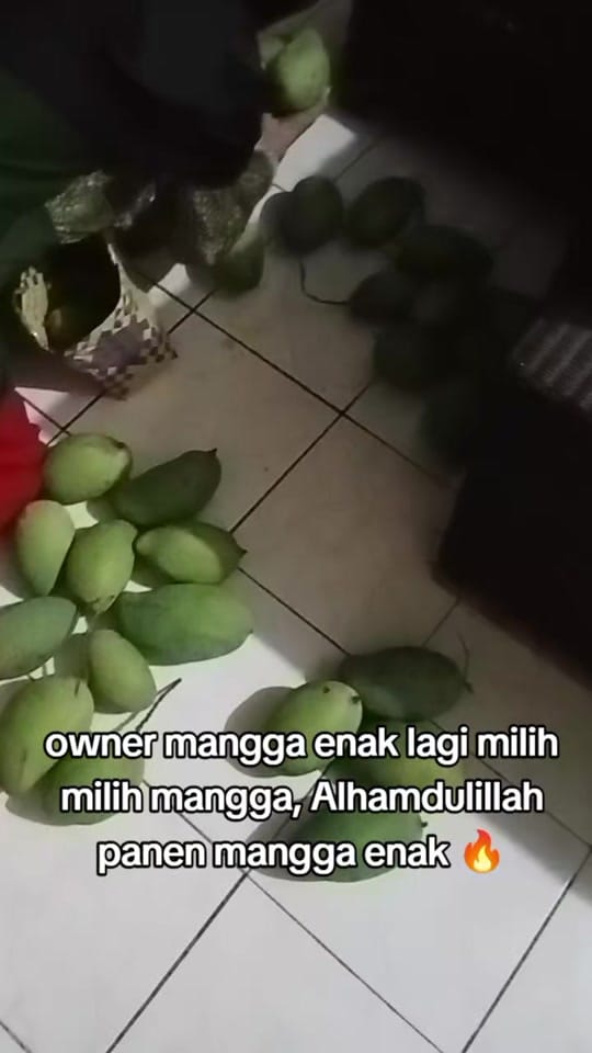 Post 1 by augusto_charming on TikTok (video)