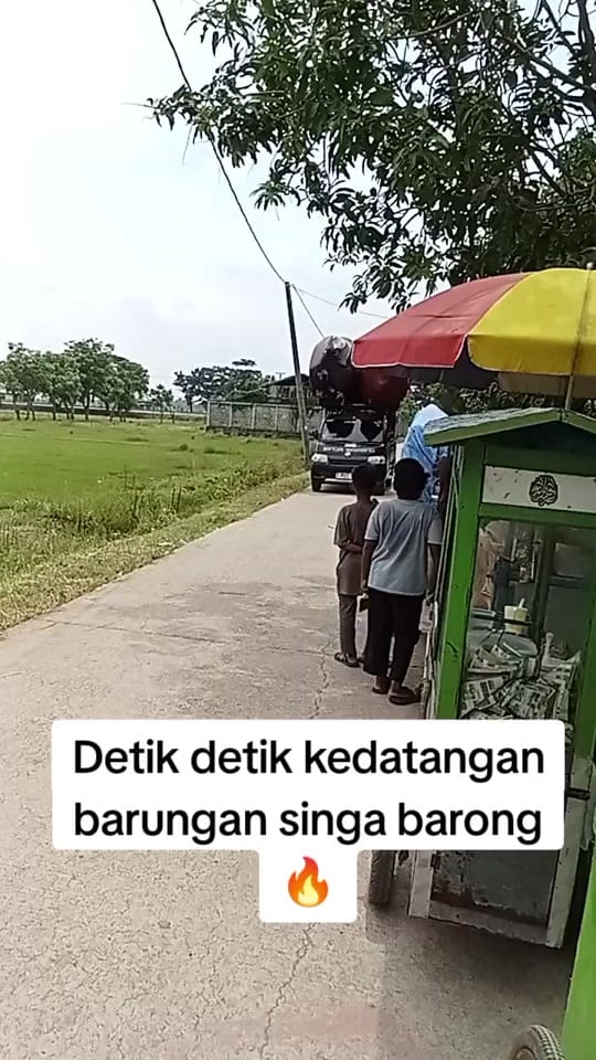 Post 8 by augusto_charming on TikTok (video)