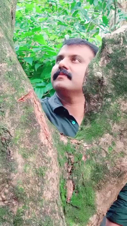 Post 8 by @JeeSh on TikTok (video)