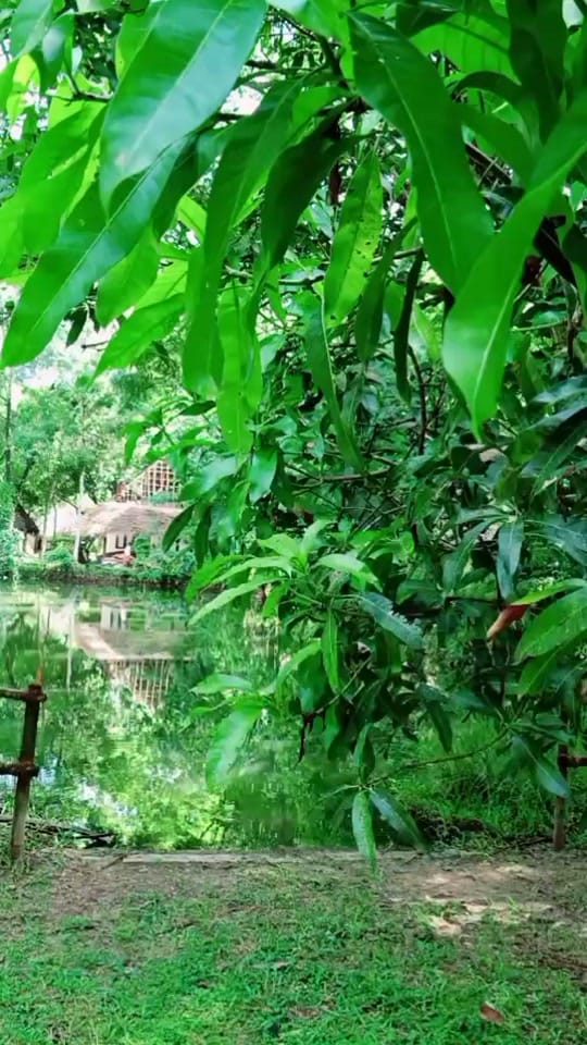 Post 7 by @JeeSh on TikTok (video)